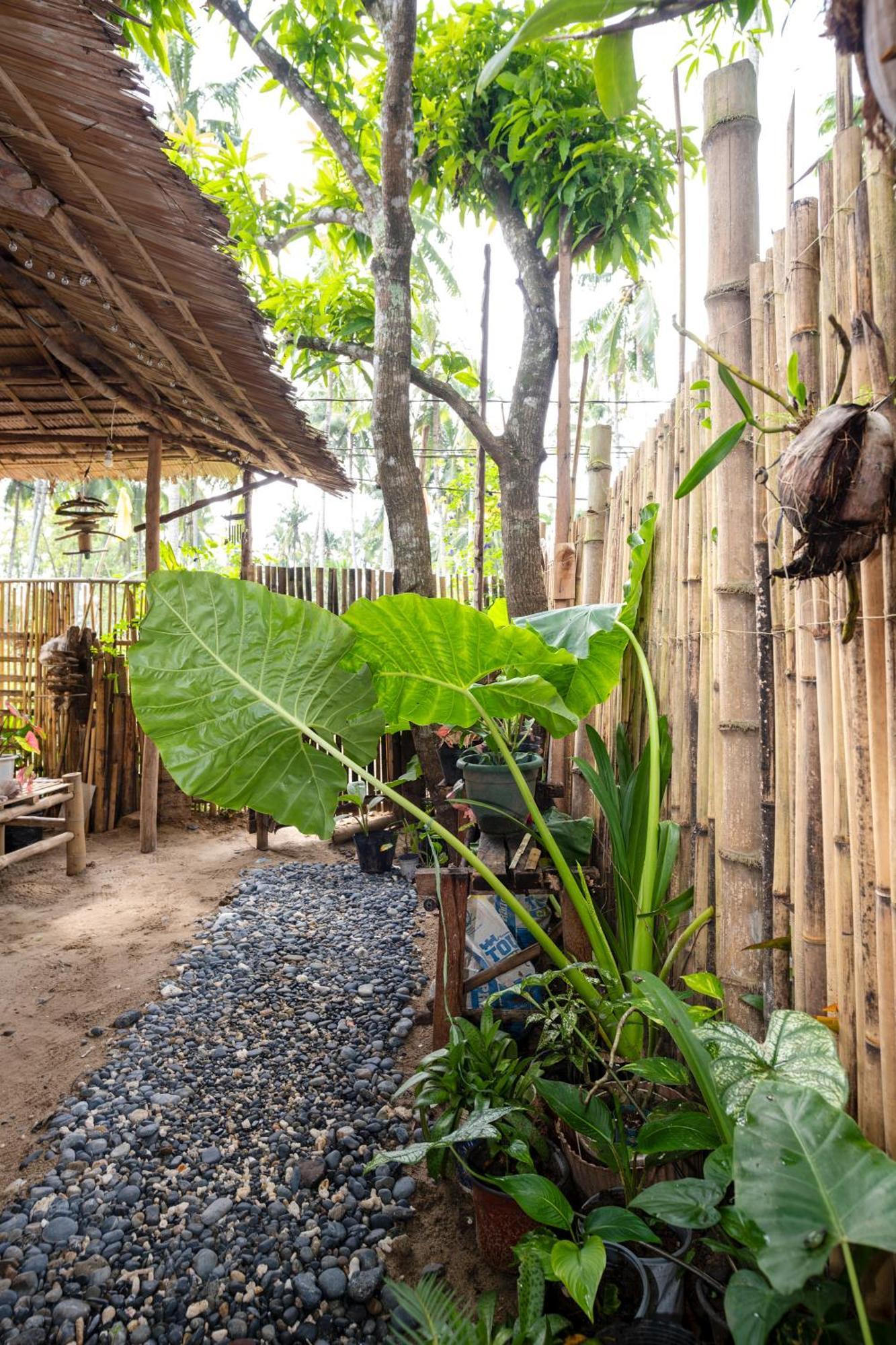 Femya Native House Apartment El Nido Exterior photo